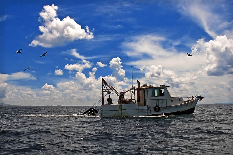 US Coast Guard Documentation Search